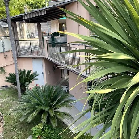 Bloom2 Rapallo